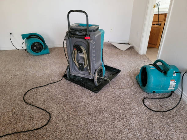 Best Flood damage cleanup  in North Prairie, WI