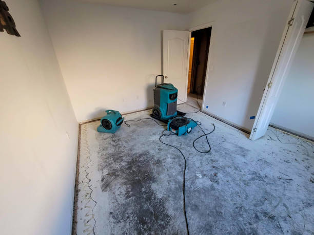 Best Residential water damage restoration  in North Prairie, WI