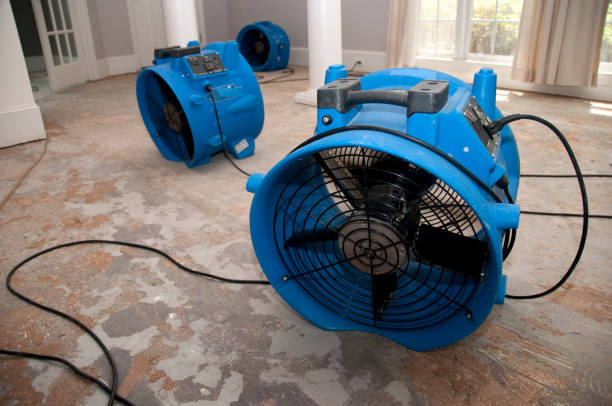 Best Fire Damage Restoration  in North Prairie, WI