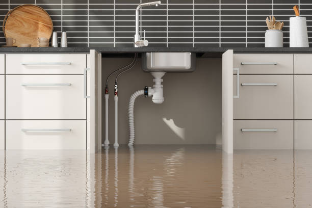 Best Local water damage restoration  in North Prairie, WI