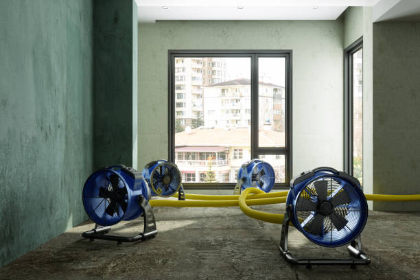 Best Water damage restoration mold remediation  in North Prairie, WI